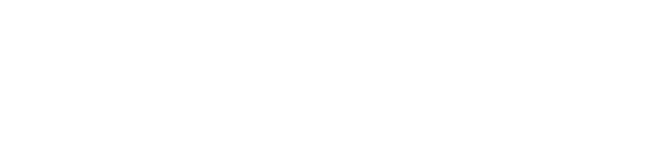 main logo